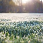 frost-on-grass-1358926_960_720